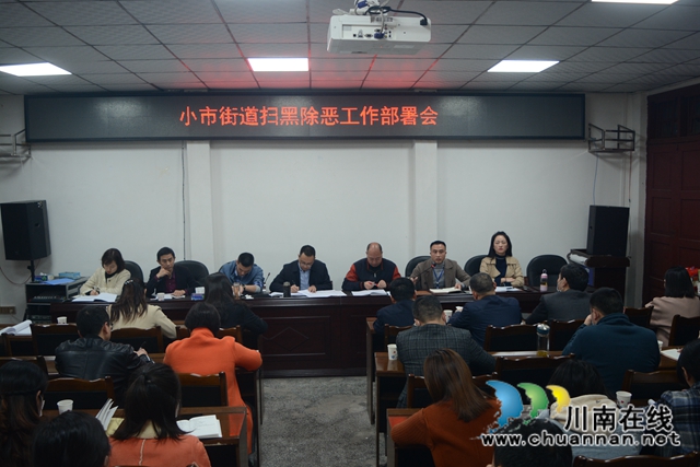 龙马潭区小市街道持续深入推进扫黑除恶专项斗争(图2)