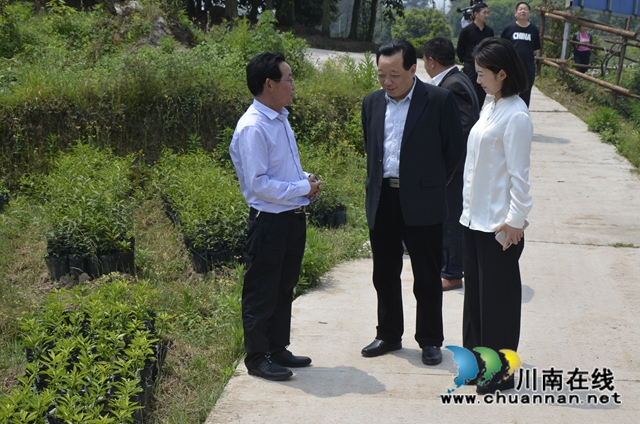 泸县太伏镇王湾村召开市扶贫基金会联系帮扶调研座谈会(图2)