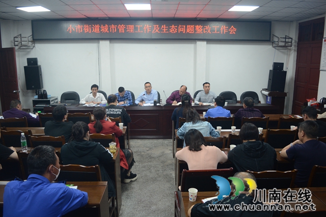 龙马潭区小市街道全面自查自纠守护绿水青山(图2)