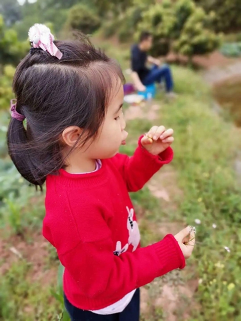 世界地球日 | 江阳法院与你一起守护蓝色星球（二）(图11)