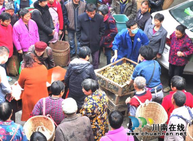 合江县人社局贴心帮扶助推脱贫攻坚(图3)