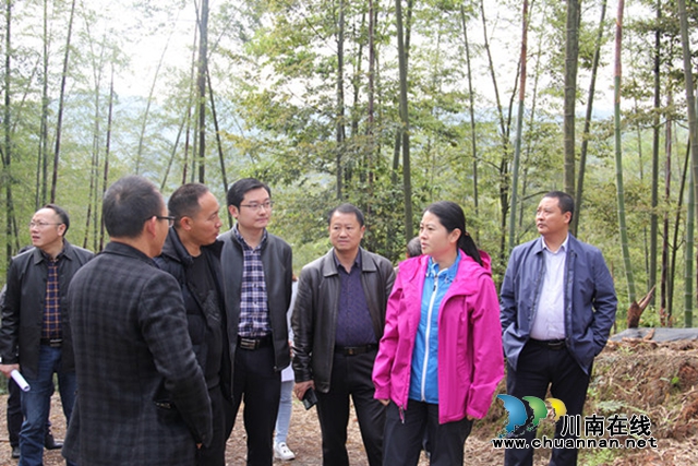 王一米调研合江县司法局帮扶贫困村天池村
