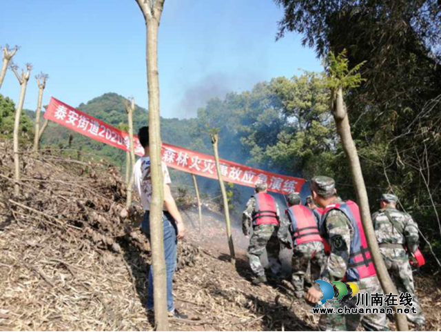 江阳区泰安街道组织开展森林防火应急演练(图1)