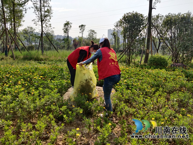 龙马潭区罗汉街道开展“与绿色相约，与环保同行”青年志愿者爱卫活动(图3)