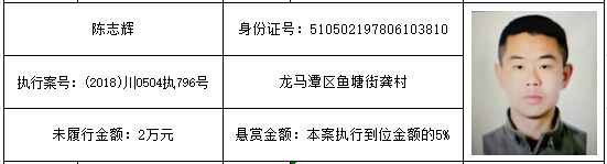 打击“老赖”！龙马潭法院发布一批执行悬赏名单(图10)