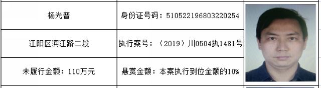 打击“老赖”！龙马潭法院发布一批执行悬赏名单(图16)