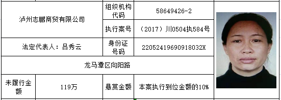 打击“老赖”！龙马潭法院发布一批执行悬赏名单(图27)