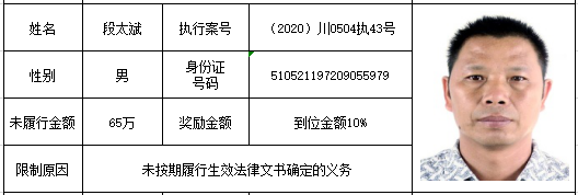 打击“老赖”！龙马潭法院发布一批执行悬赏名单(图35)