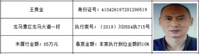 打击“老赖”！龙马潭法院发布一批执行悬赏名单(图46)