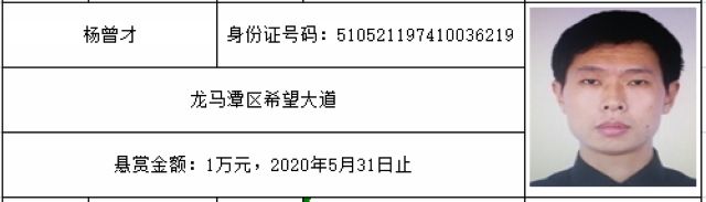 打击“老赖”！龙马潭法院发布一批执行悬赏名单(图6)