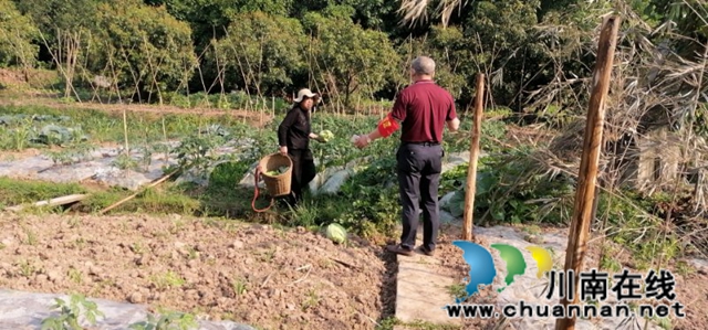 江阳区茜草街道沙坪社区：狠抓秸秆禁烧，推进环境保护(图2)