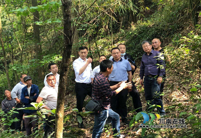 江阳区：地质灾害隐患点“回头看”