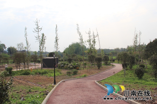 泸县云龙镇：稳步推进云龙健康公园建设 打造群众休闲好去处(图2)
