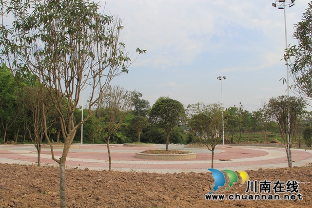泸县云龙镇：稳步推进云龙健康公园建设 打造群众休闲好去处(图4)