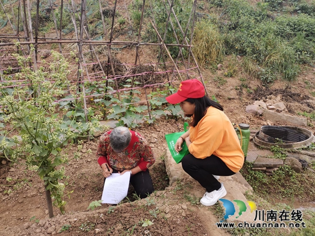 江阳区茜草街道桂圆林社区开展大气污染防治宣传