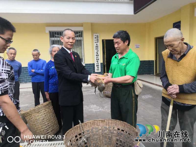 纳溪区法院:“五一”扶贫送鸡仔 产业发展助增收(图3) 纳溪区法院:“五一”扶贫送鸡仔 产业发展助增收(图3)