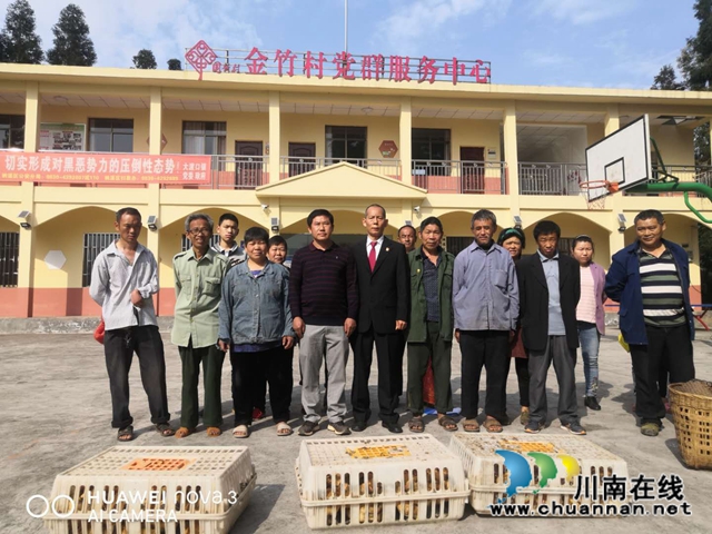 纳溪区法院:“五一”扶贫送鸡仔 产业发展助增收(图2) 纳溪区法院:“五一”扶贫送鸡仔 产业发展助增收(图2)