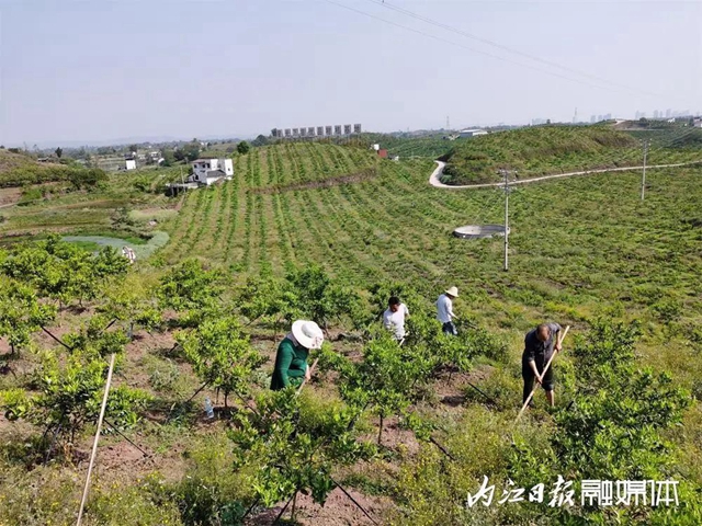 全市关注！一季度内江经济数据出炉(图3)