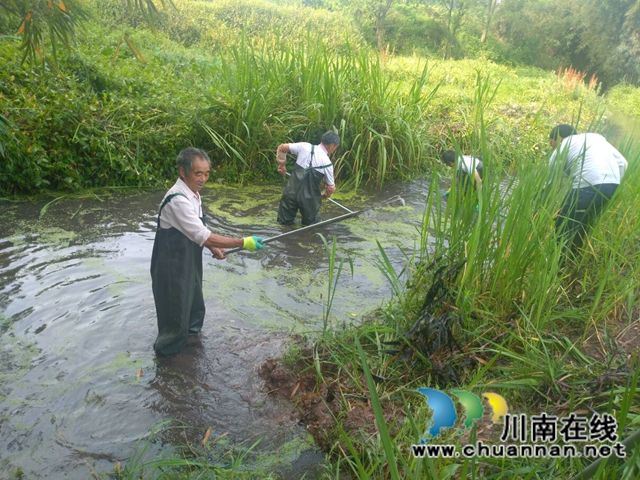 泸县玉蟾街道持续开展河长制工作推动治理常态化(图3)