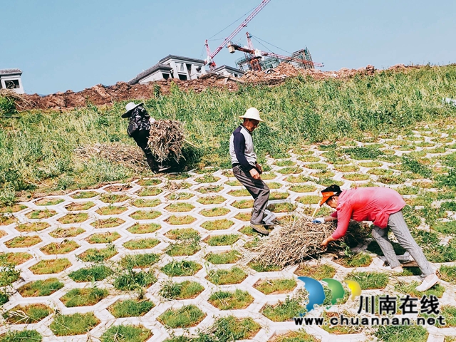 泸县玉蟾街道持续开展河长制工作推动治理常态化(图2) 泸县玉蟾街道持续开展河长制工作推动治理常态化(图2)