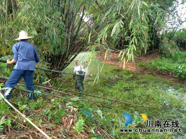泸县玉蟾街道持续开展河长制工作推动治理常态化(图5)