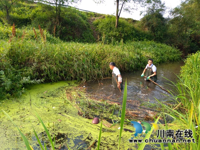 泸县玉蟾街道持续开展河长制工作推动治理常态化(图6)