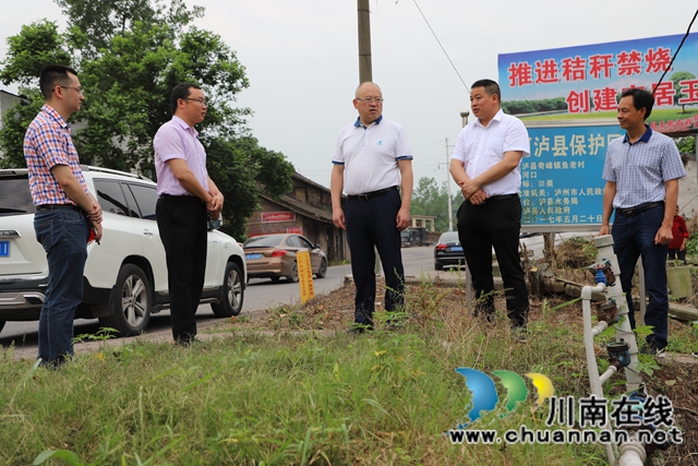 张文杰到泸县玉蟾街道督导河长制工作(图3)