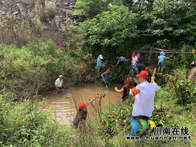 龙马潭区鱼塘街道：党员齐上阵 “绿”河沟复真颜(图2)