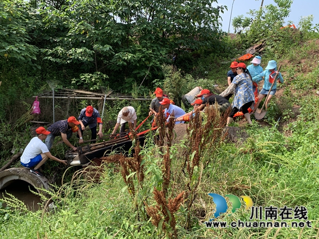 龙马潭区鱼塘街道：党员齐上阵 “绿”河沟复真颜