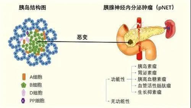 西南领先| 让隐匿“罪犯”显形，他们派上了终极“核武器”！(图2)