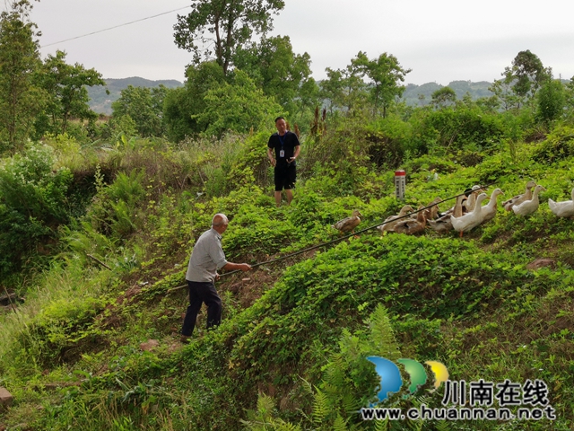 泸县玉蟾街道扎实开展河长制工作(图3)