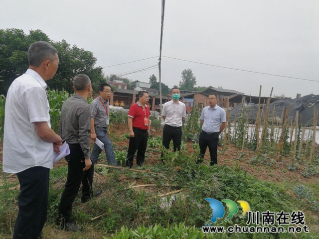 泸县玉蟾街道开展河长制督查工作(图2)