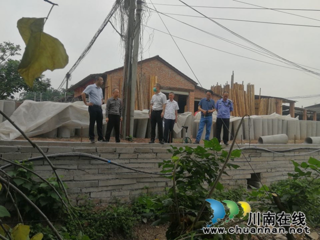 泸县玉蟾街道开展河长制督查工作(图4)