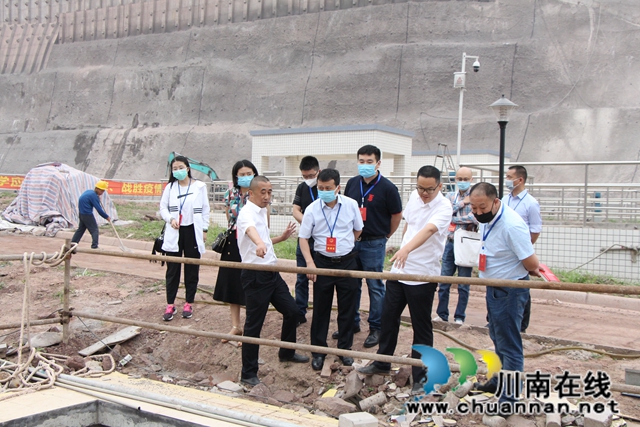 龙马潭区红星街道组织人大代表、政协委员开展视察调研活动