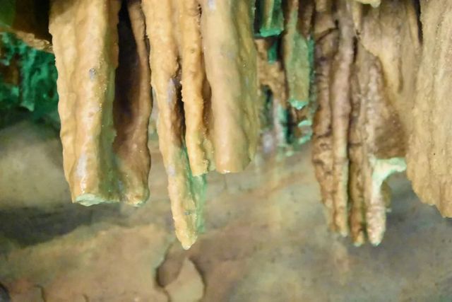 视频 | 女游客掰断古蔺景区内两颗万年石钟乳 法院判赔2500元(图2) 视频 | 女游客掰断古蔺景区内两颗万年石钟乳 法院判赔2500元(图2)