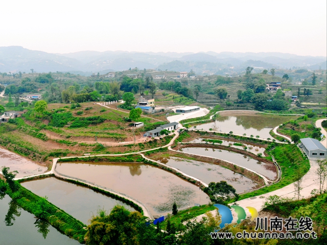 泸县：产业扶贫激活“造血”功能  吉祥村成幸福村(图1)