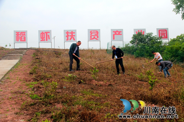 泸县：产业扶贫激活“造血”功能  吉祥村成幸福村(图2)