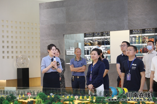 江阳区华阳街道政协委员联络组开展2020年视察调研活动(图2)