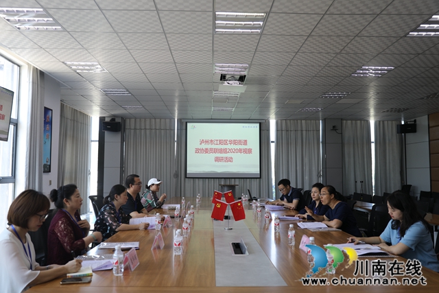 江阳区华阳街道政协委员联络组开展2020年视察调研活动(图3)
