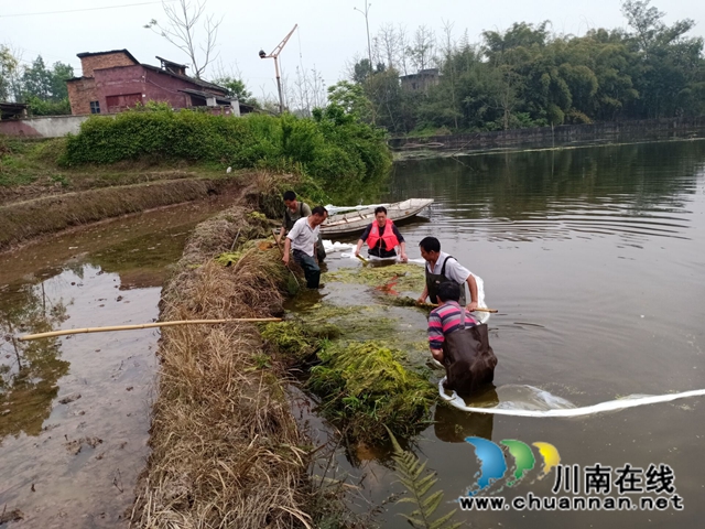 泸县云龙镇:河道治理综合施策,清河护岸持续加力(图3) 泸县云龙镇:河道治理综合施策,清河护岸持续加力(图3)
