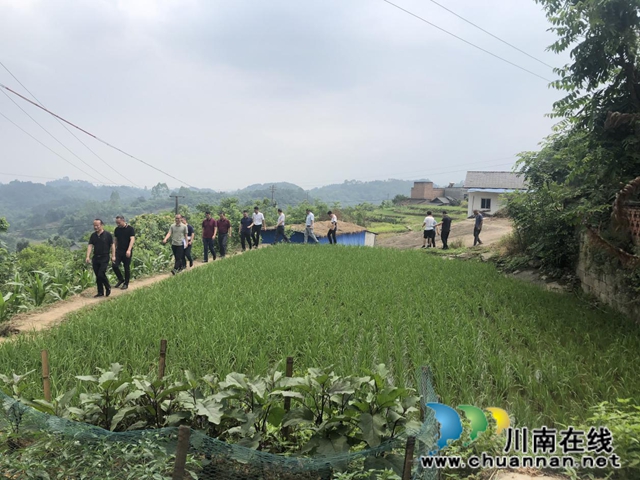 四川省自然资源厅工作组到泸州市开展三轮规划修编实地调研