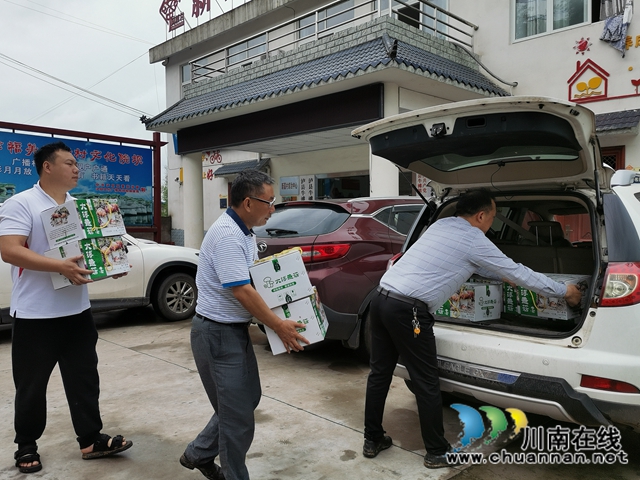 龙眼、芋菊！泸县牛滩镇新嘉村驻村帮扶队有两大脱贫致富法宝(图3)