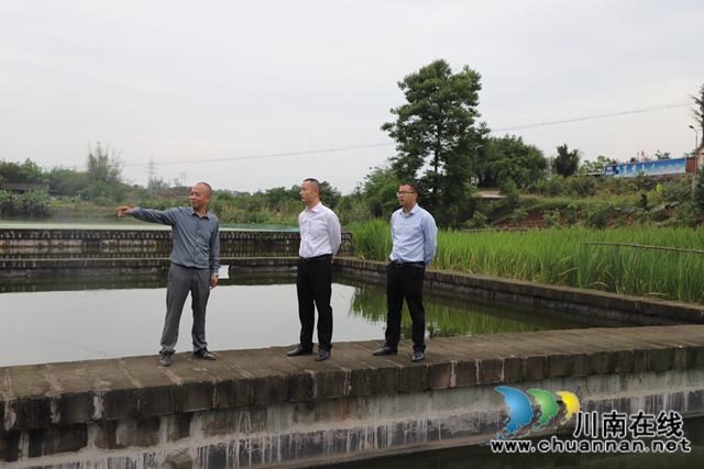 泸县玉蟾街道督导水产养殖污染整治工作(图2)