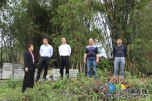 泸县玉蟾街道督导水产养殖污染整治工作(图3)