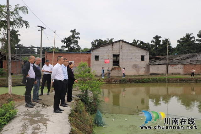 泸县玉蟾街道督导水产养殖污染整治工作(图4)