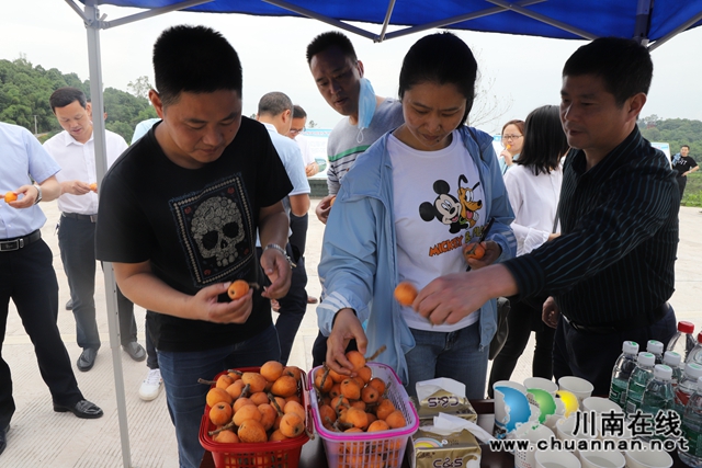 自贡富顺县邓井关街道到泸县玉蟾街道考察党群服务中心亲民化改造暨村集体经济发展工作(图13)