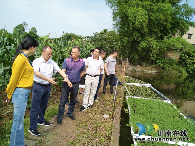 泸州市农业农村局巡查泸县水产养殖污染整治及河长制工作