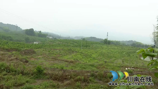 合江回洞桥村：脱贫路上奔小康，乡村振兴向未来(图4)