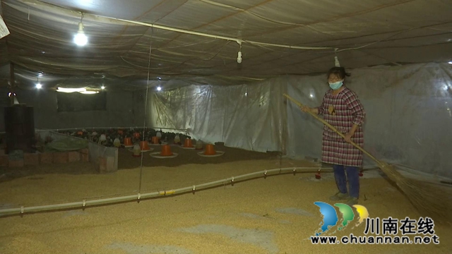 合江回洞桥村：脱贫路上奔小康，乡村振兴向未来(图5)