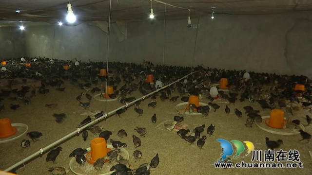 合江回洞桥村：脱贫路上奔小康，乡村振兴向未来(图6)